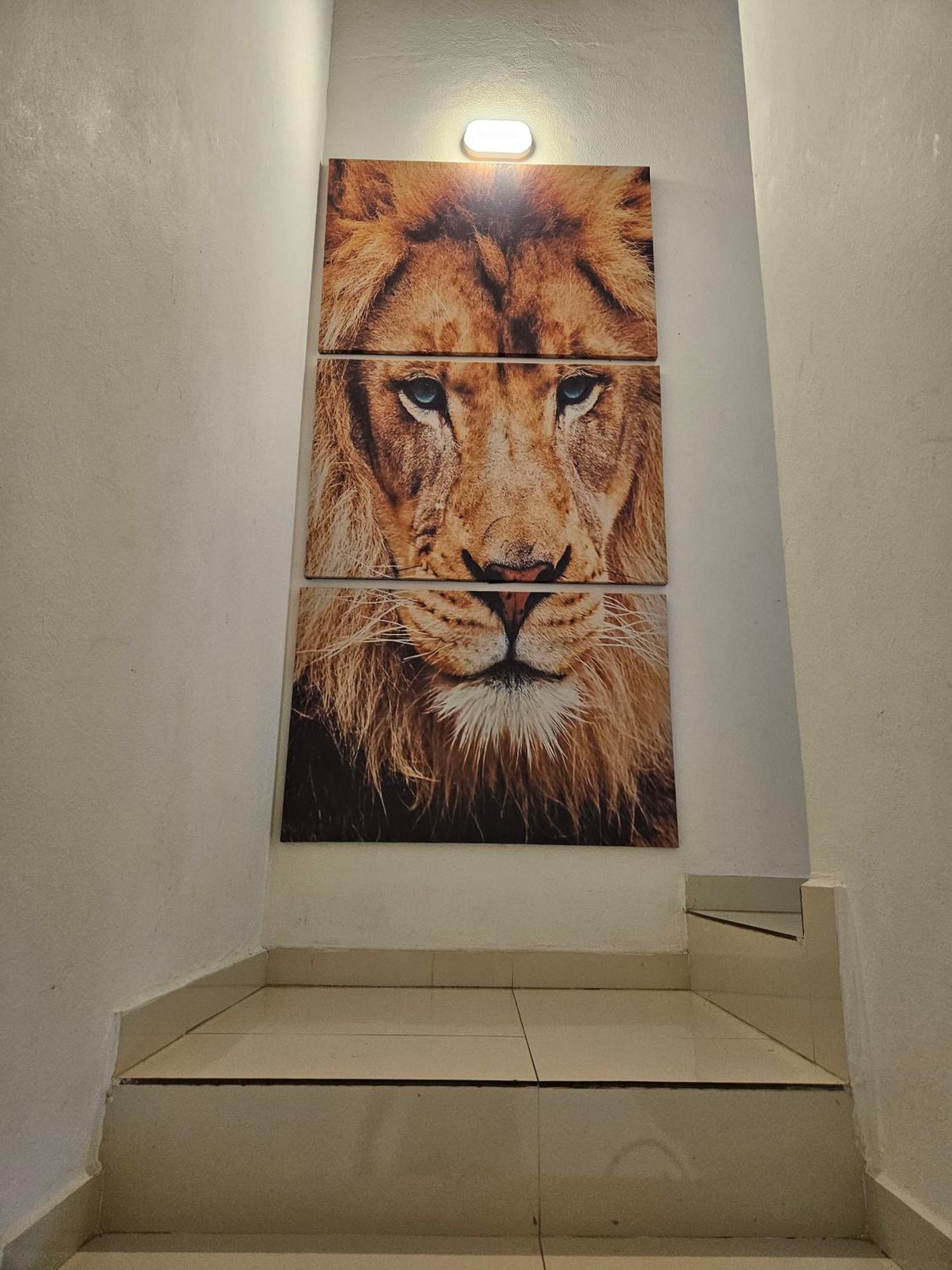 Casa Girassol Paratyヴィラ エクステリア 写真